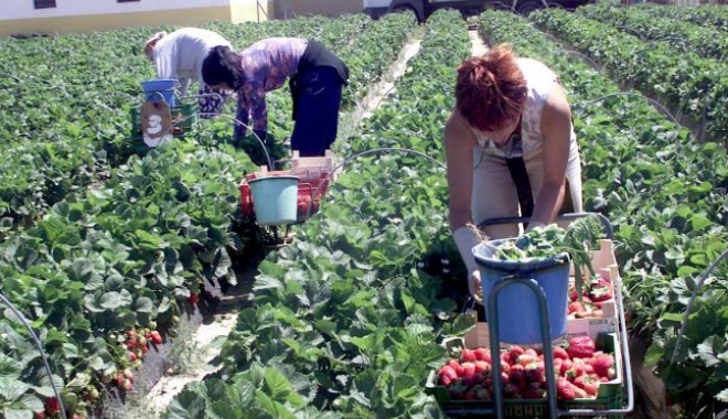 3,5 milioane de români muncesc în străinătate - 35milioanederomani-1471352609.jpg