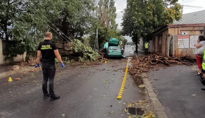 Un bărbat a ajuns la spital, după ce un copac a căzut peste autoturismul în care se afla - 36013174359577636606156777761428-1689322759.jpg