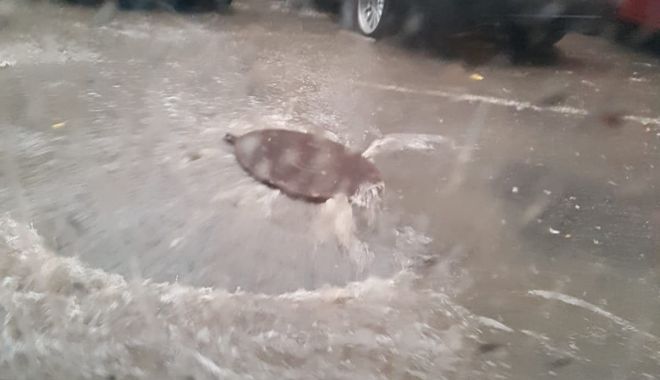 PLOUĂ TORENȚIAL LA CONSTANȚA! Se circulă cu mare dificultate - 36624619176759114999428163372734-1530787455.jpg