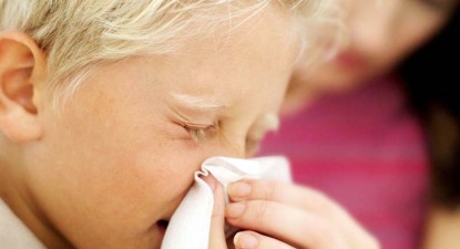 Gripa porcină afectează celulele pulmonare de profunzime - 36a1c366bf2be376685c6ae023e666fd.jpg