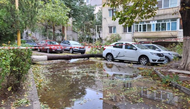 46 de localități sunt afectate de fenomenele meteorologice de azi noapte - 37027395810370512675658926347167-1700384897.jpg