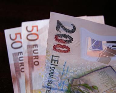 Leul a pierdut ceva teren în fața euro - 3761euro2020leu-1345460607.jpg