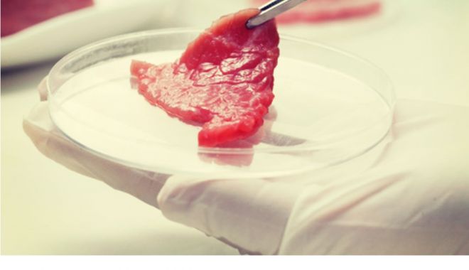 Este oficial! Carnea artificială este sigură pentru consum - 381alimentulviitoruluicarnea-1532934008.jpg