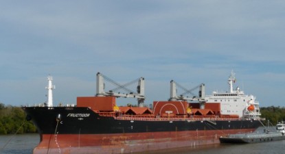 Nava 