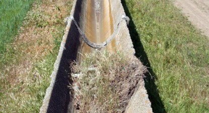 Ajutoarele de stat pentru agricultură vor fi acordate și după 2009, dar sub o altă formă - 3a98092c034fa81b75375d17e792c265.jpg