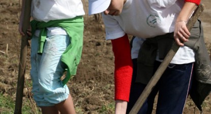 Primarul comunei Siliștea va planta copaci cu ajutorul elevilor - 3b572f30dc38f73d5964f08a8e98ea0d.jpg