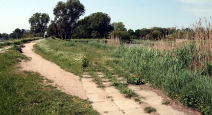 Consiliul Local și Consiliul Județean Constanța fac ping-pong cu peste trei hectare din Parcul Tăbăcărie - 3e6ab9dcd29a410ea66c019754c23a38.jpg