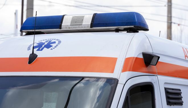 Informație de ultimă ora despre copilul de nouă ani, mușcat de câine - 3g4a0417-1679677946.jpg