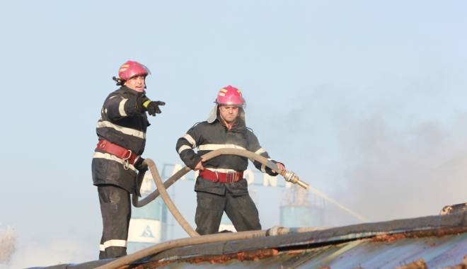 Incendiu la ieșire din Constanța spre Ovidiu - 3noiembrieincendiu-1415031528.jpg
