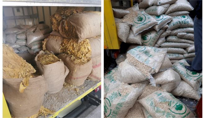 Saci cu peste 360 de kilograme de tutun vrac, confiscați la graniță - 3novtutungarda-1604400425.jpg