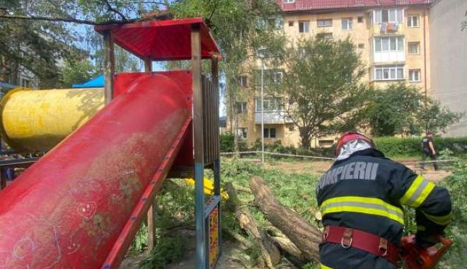 Copil accidentat la un loc de joacă, după ce a căzut un copac