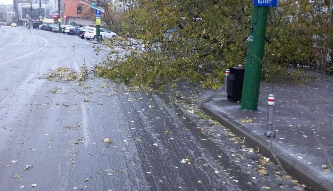 Trafic îngreunat din cauza vremii. Mai multe linii CT Bus sunt afectate