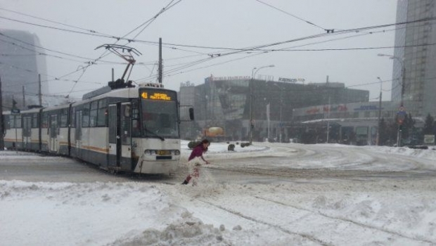 Vremea rea face ravagii! Copaci doborâți, transport paralizat - 4135348000-1550863805.jpg