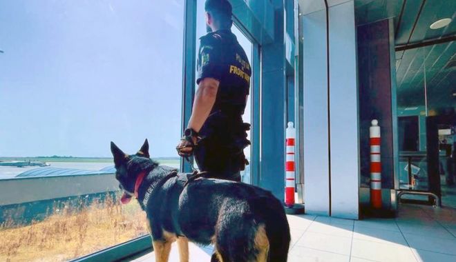 Condamnare cu executare pentru un bărbat care a provocat scandal la bordul unei aeronave - 41696607277626937454361768590562-1704467368.jpg