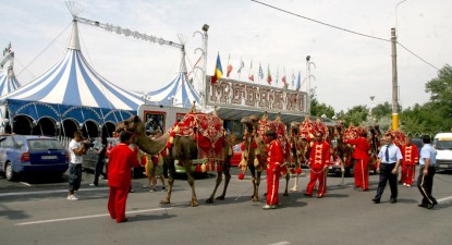 Circo Medrano, de astăzi în Constanța - 4208c962bda954ddcbbc9dcd21c0aa0a.jpg