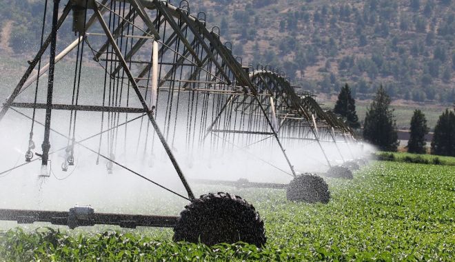 Agricultură: Sprijin pentru achitarea energiei electrice consumată în irigaţii - 42474174679308794952625446364934-1707476790.jpg