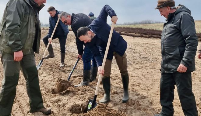 Acțiune de plantare coordonată de ministrul Mediului, în Luna Pădurii - 43159040573157515239441618332090-1710939583.jpg