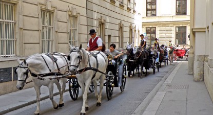 Sărbători de iarnă pe aripile valsului vienez - 431d3c0ba119e7d5519b3568afb08ce9.jpg