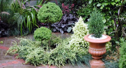 Sfaturi pentru decorarea grădinii - 44c8f7e1528d82923516ae85974d0f47.jpg