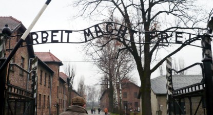Germania a plătit 42,5 milioane de dolari unor false victime ale nazismului - 46227ca5c688200b321f5a8b74982c41.jpg