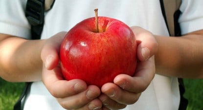 Merele pentru elevi, tratate cu contaminanți - 4687c1cb9e32a2d1d0a636a849b46c07.jpg