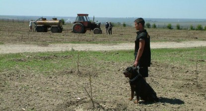 Comunele constănțene, lăsate în paza… Domnului - 48300fd42032d6e6256e9ee006555ce9.jpg