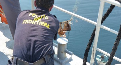 Doi delfini aflați în stare de putrefacție, găsiți în plasele braconierilor - 489b0853dca0e1de83ff0b390124fc9c.jpg