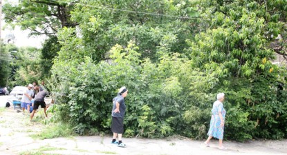 Primăria Constanța mai distruge un spațiu verde pentru a construi un bloc - 4904f82c12cecf6ec070fe77d7e913ce.jpg