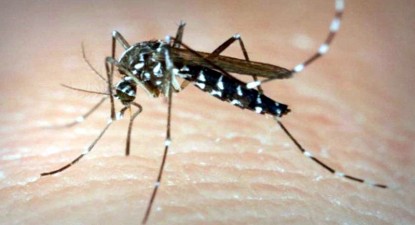 Meningita West Nile s-a răspândit din cauza căldurii excesive din această vară - 4922dbf710cca1202c83b7c9bd812197.jpg
