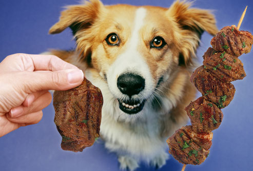 Animalele de companie, departe de carnea de porc! - 49855gettyrmphotoofbeefkebabford-1326403011.jpg