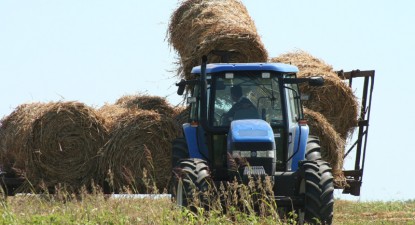 Fermierii occidentali primesc ajutoare de trei ori mai mari decât cei români - 4dce7b5d590277e9993b439f902c3291.jpg