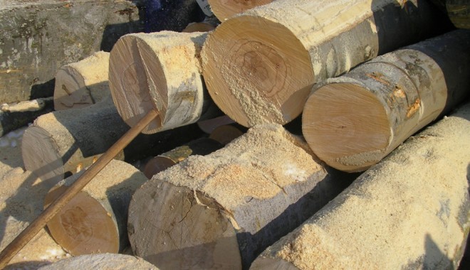 Cu cât își pot cumpăra constănțenii lemne de la ocoalele silvice - 4f26b1ed43665-1329233531.jpg