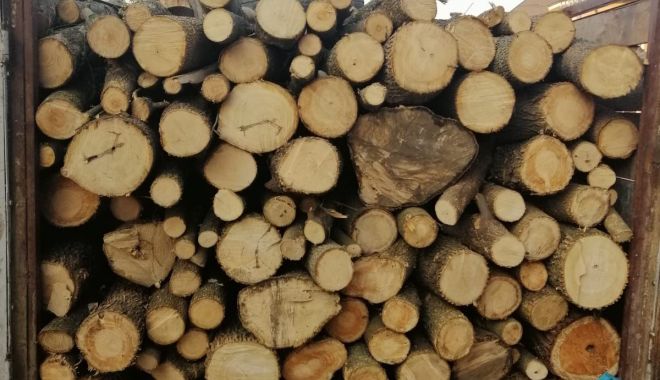 Transport de lemne confiscat de jandarmii din Cernavodă - 4octlemnejandarmi-1570172013.jpg