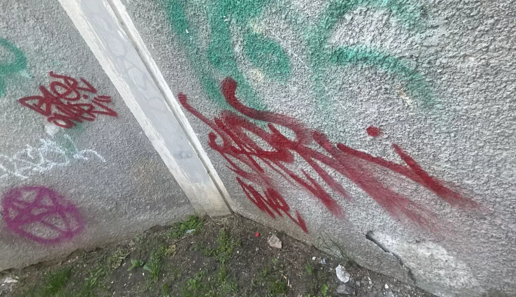 Vandalism în centrul Constanței. Doi adolescenți au fost prinși în flagrant de polițiști - 5-1779690751.webp