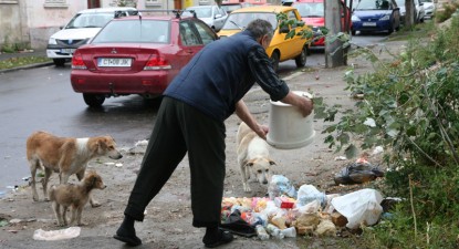Mizeriile Constanței - 50144cdadaef02b7f0f5b4091396ef73.jpg