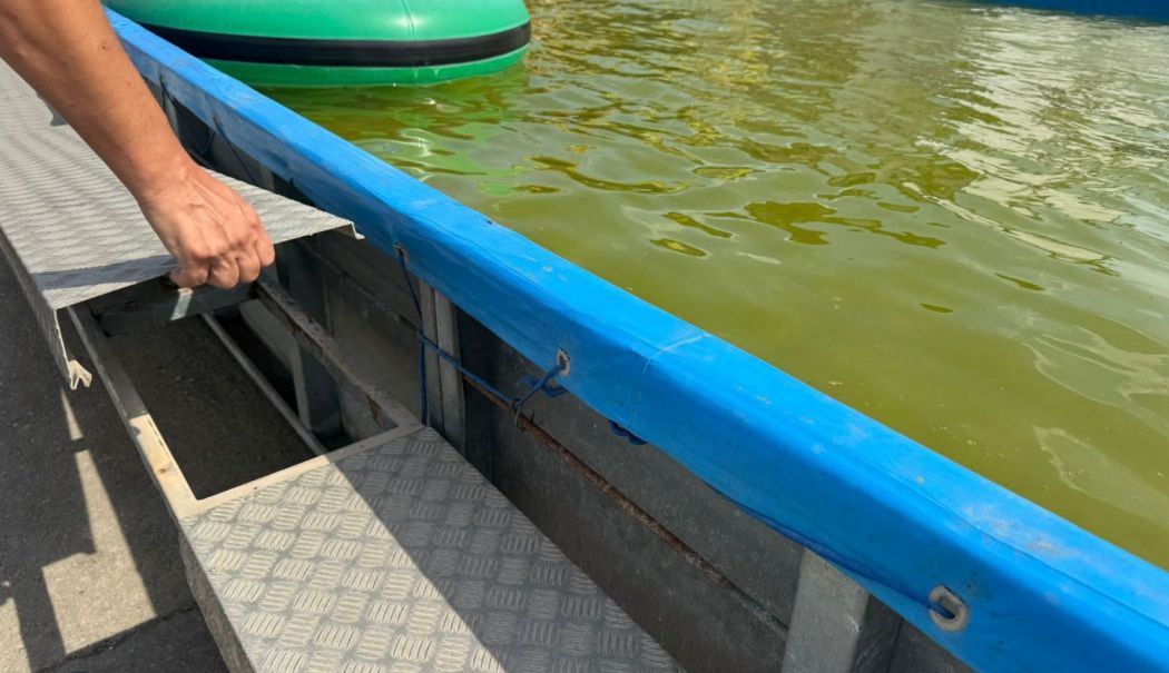 Amenzi de 620.000 lei pe litoral: piscine murdare, camere insalubre şi produse expirate, descoperite de ANPC
