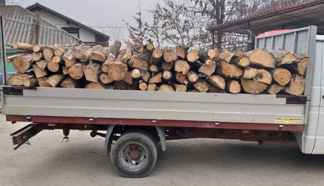 Depistat de jandarmi transportând lemne fără documente legale - 52938244201682506844377372943276-1550838912.jpg