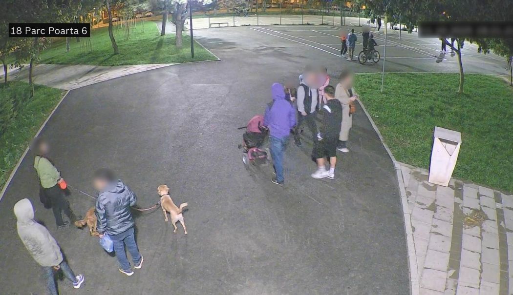 Poliția Locală face cercetări după ce mai multe plante din Parcul Poarta 6 au fost rupte - 56620825112471638307878952537093-1760533171.jpg