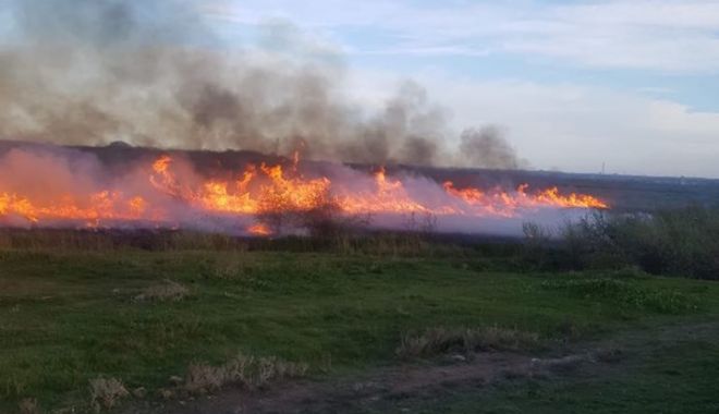 GALERIE FOTO / Incendiu de vegetație uscată în localitatea Lumina - 58442032430248567777377234095754-1556647292.jpg