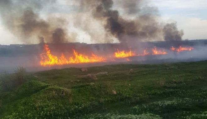 GALERIE FOTO / Incendiu de vegetație uscată în localitatea Lumina - 58594786104074935612174222795241-1556645418.jpg
