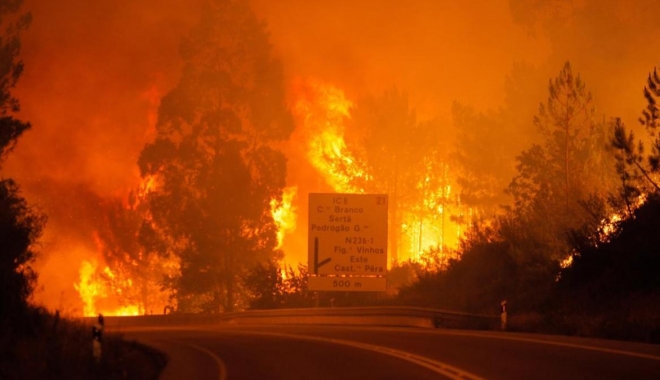 Tragedie în Portugalia / 57 de persoane au murit într-un incendiu de pădure din centrul țării. Numărul victimelor este în creștere - 5945e53e10dda2017061800130943772-1497786497.jpg