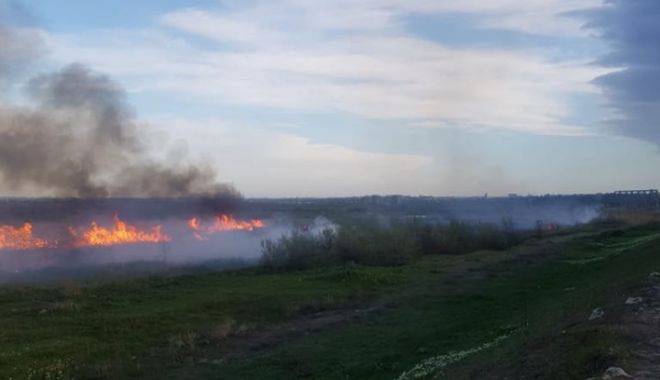GALERIE FOTO / Incendiu de vegetație uscată în localitatea Lumina - 59709148120223153328367685596098-1556647384.jpg
