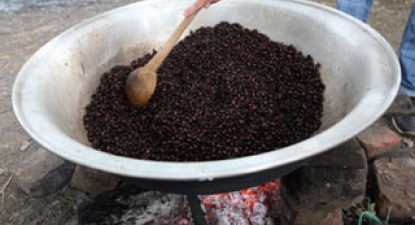 Lipsa de alimente va face omenirea ca până în 2030 să consume insecte - 59e52c1b2235b3a801208fcba562dfec.jpg