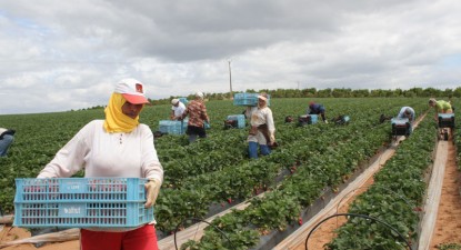Bășcălie românească: zilierii sunt scoși din Codul muncii, dar impozitați - 5c7646b1d39fc0715f330479e4e5f254.jpg