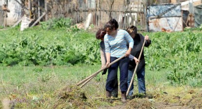 Sătenii din Potârnichea nu vor mai primi ajutoare sociale până în octombrie - 5e179e34e2697e9e4711918daf168e9b.jpg