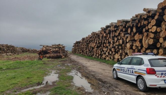 Furturile de lemne, în atenția polițiștilor - 5septsilvic-1567671887.jpg