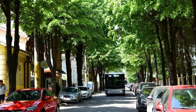 Constănțeni, se taie arborii! Atenție unde parcați - 60024835271928584810059875350835-1557750384.jpg