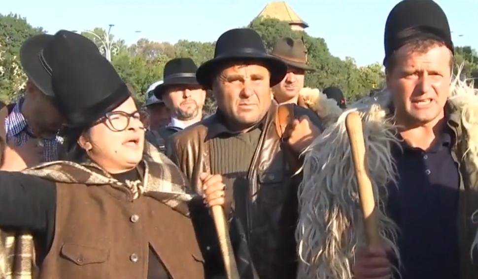 Ciobanii protestează iar la Guvern din cauza pestei. "600 de animale împușcate în cap"
