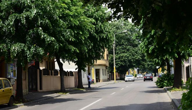 Șoferi, atenție unde parcați! Muncitorii vor toaleta mai mulți arbori din Constanța - 61072399273185886017663015417934-1558351349.jpg