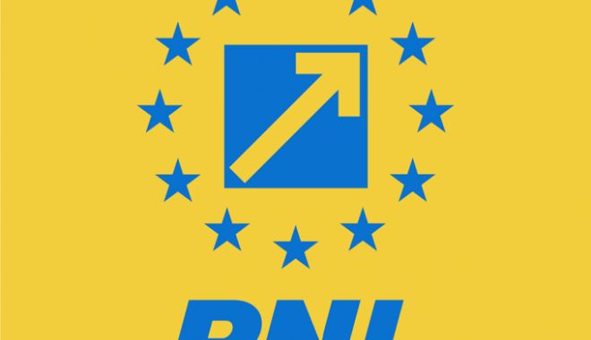 Consiliul Național al PNL se reunește la București; președintele Klaus Iohannis participă la reuniune - 62044355-1565247313.jpg